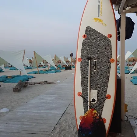 Coral -mamaia Nord