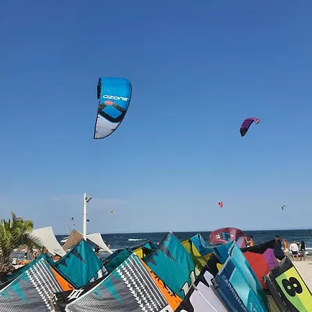 Coral -mamaia Nord