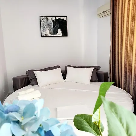 Coral -mamaia Nord Apartment Mamaia