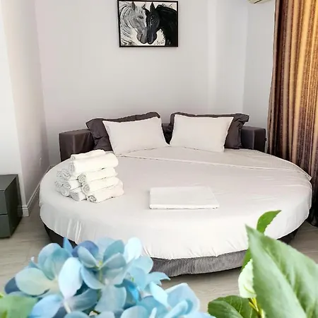 Coral -mamaia Nord * Mamaia