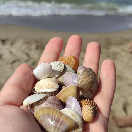 Lejlighed Coral -mamaia Nord Mamaia