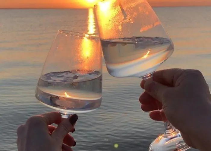 Coral -mamaia Nord * Mamaia