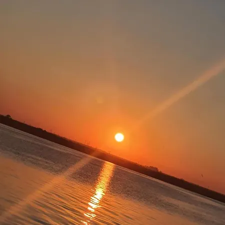 Coral -mamaia Nord Mamaia
