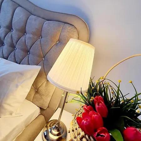 Coral -mamaia Nord * Mamaia