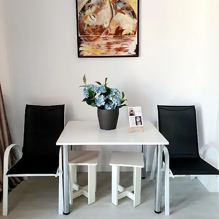 Coral -mamaia Nord *