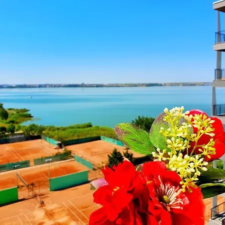 Coral -mamaia Nord