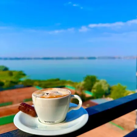 Coral -mamaia Nord