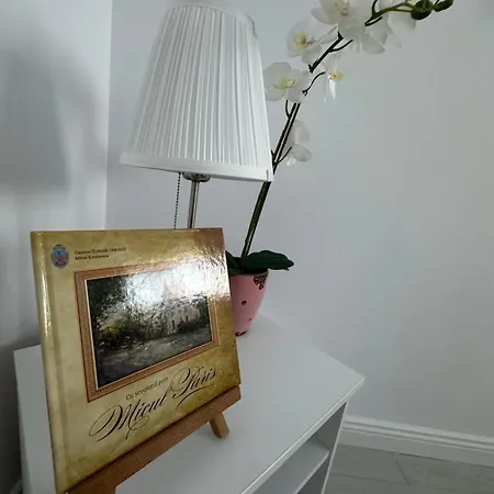 Apartment Coral -mamaia Nord