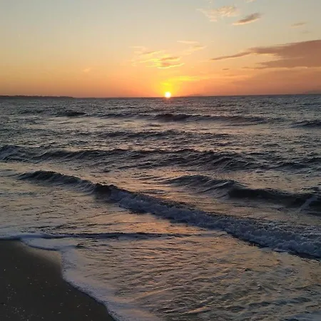 Coral -mamaia Nord * Mamaia