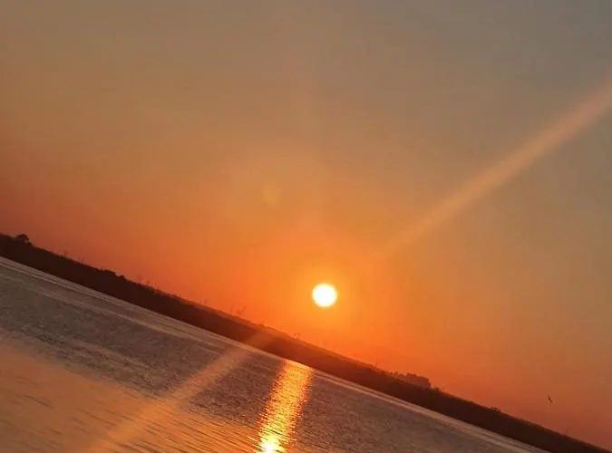 Coral -mamaia Nord Mamaia