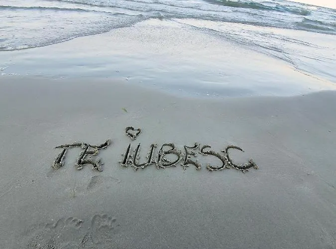 Apartment Coral -mamaia Nord