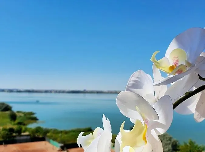 Daire Coral -mamaia Nord Mamaia