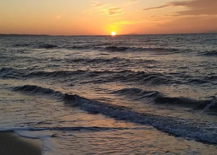 Coral -mamaia Nord * Mamaia